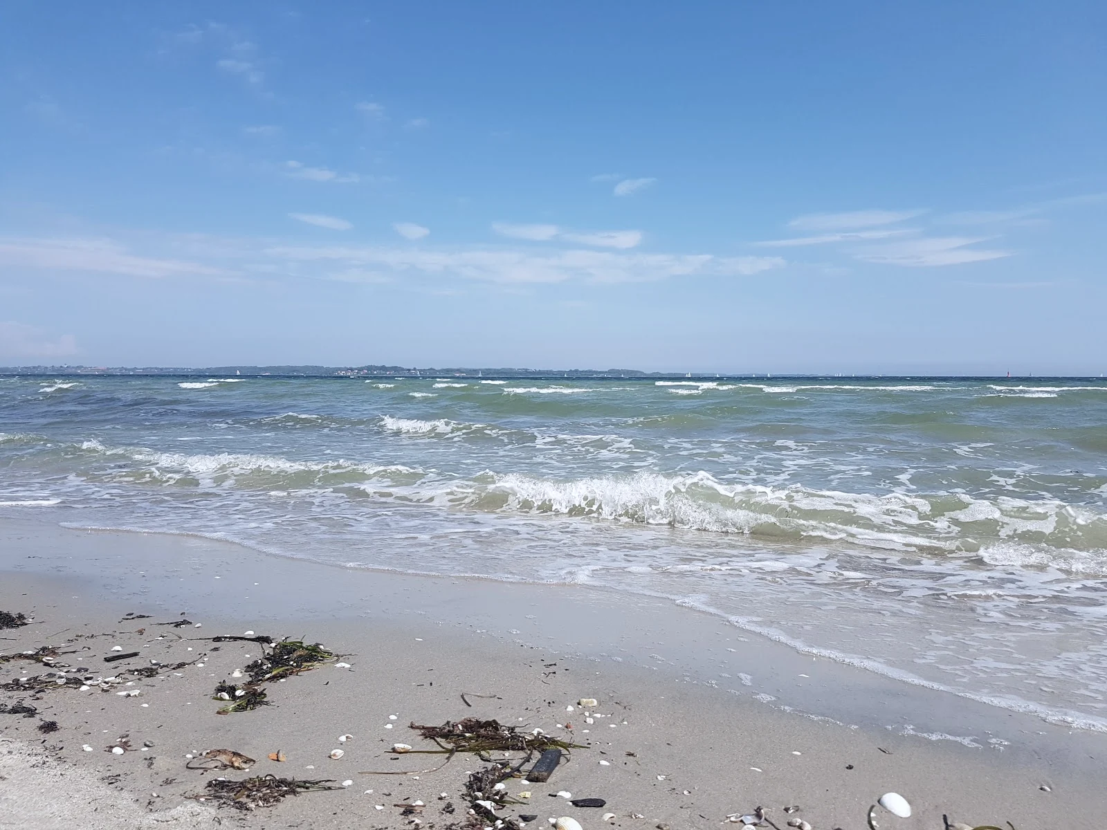 Læs vinden ved østranden